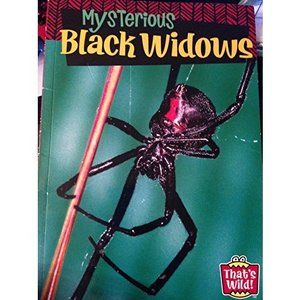 Mysterious Black Widows (Thats Wild!) (Paperback)